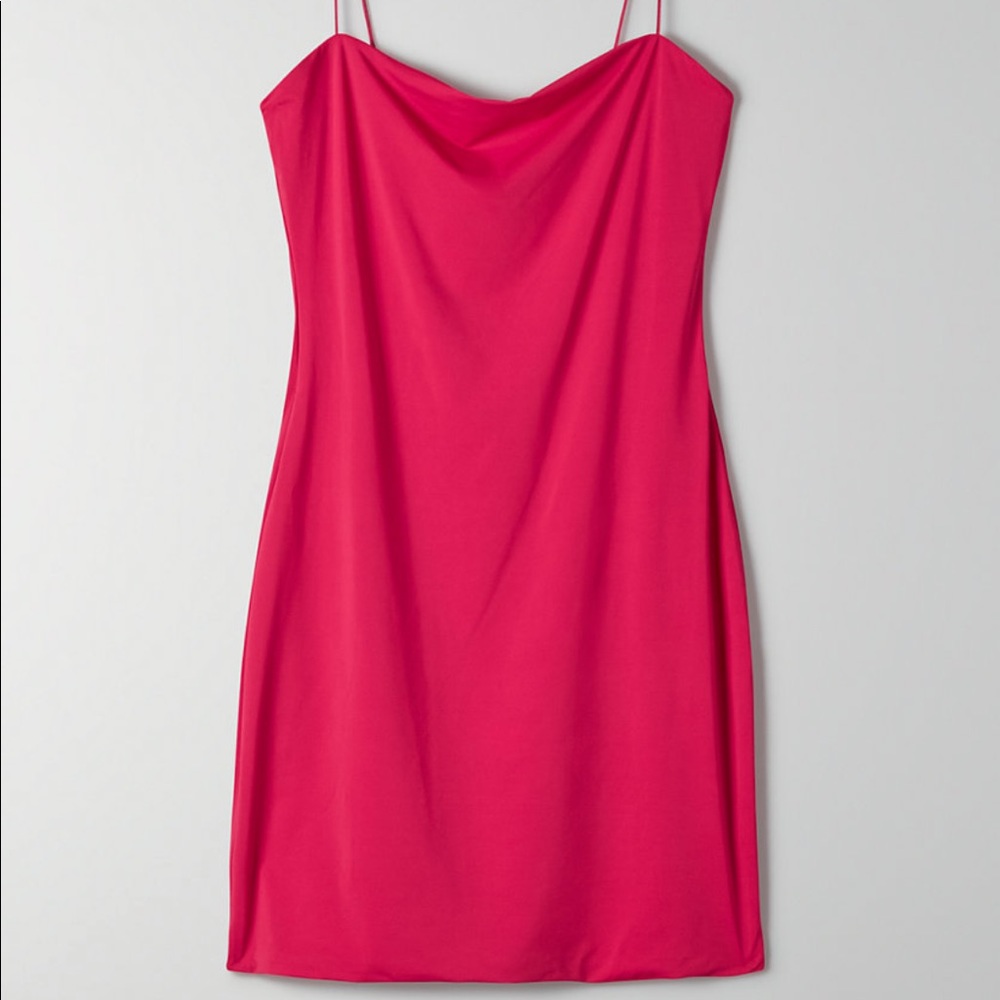 Aritzia Ten by babaton Illume dress